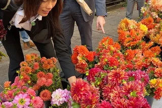 New York City Flower District Tour