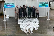 Ketchikan Halibut and Salmon Fishing Tour thumbnail 2