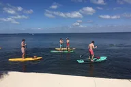 Key Largo Kayak or Paddle Board Rental 1 hr thumbnail 6