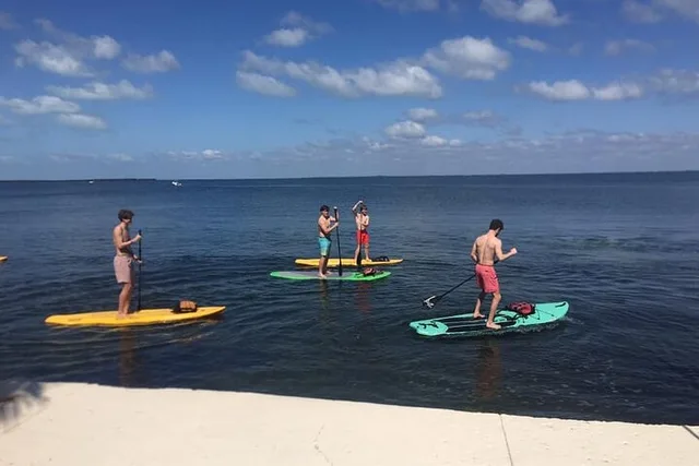 Key Largo Kayak or Paddle Board Rental 1 hr - Image 6
