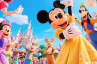 Orlando Airport Private Transfer to Disneyland Resort thumbnail 2