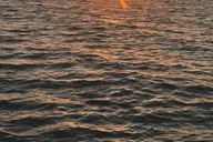 Destin Harbor Sunset Cruise thumbnail 2