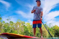 St. Augustine Dolphin and Manatee Paddle Tour 2 hr thumbnail 3