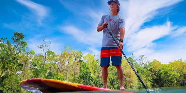 St. Augustine Dolphin and Manatee Paddle Tour 2 hr - Image 3