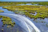 Orlando Everglades Airboat Tour and Wildlife Park thumbnail 4