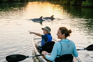 Indian River Lagoon Kayak and Paddleboard Tour