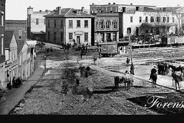 Atlanta Plantations, Civil War and Civil Rights Tour - Image 5