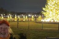 Washington D.C. Christmas Tree & Holiday Lights Tour thumbnail 4