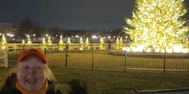 Washington D.C. Christmas Tree & Holiday Lights Tour - Image 4