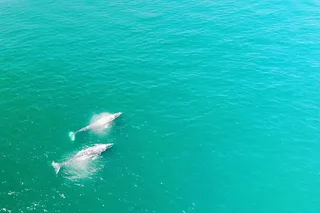 California Whale Watching and Fishing Excursion