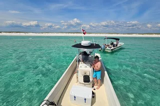 Panama City Eco Dolphin Tour