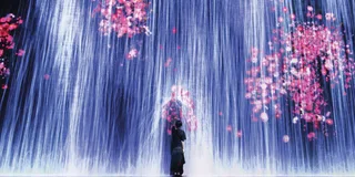 Miami Superblue Immersive Art Experience