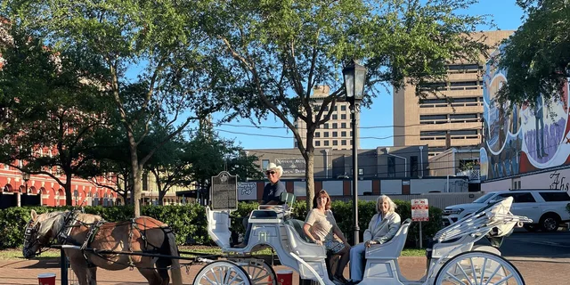 Galveston Historic Carriage Tour - Image 1
