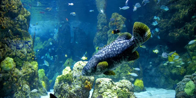 Denver CityPASS Attractions Tour - Image 3