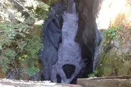 Seattle Mount Rainier Tour thumbnail 6