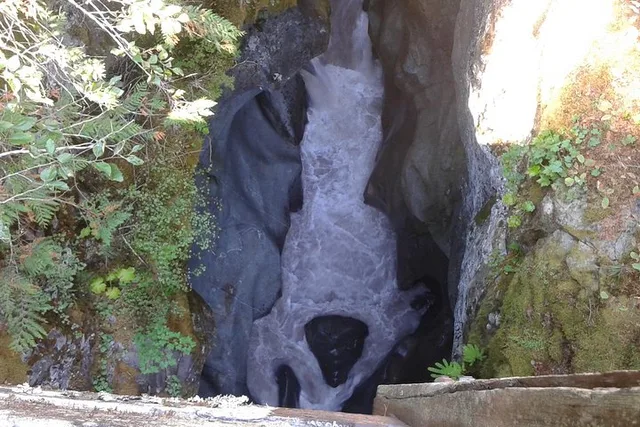 Seattle Mount Rainier Tour - Image 6