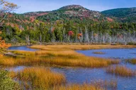 Bar Harbor Acadia Tour with Somes Sound & Villages 3 hr thumbnail 6
