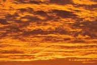 Daytona Beach Sunset River Cruise thumbnail 1