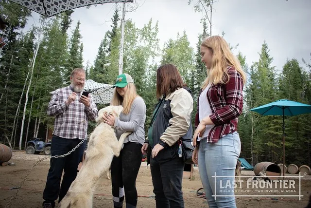 Fairbanks Sled Dog Mushing Cart Ride - Image 6