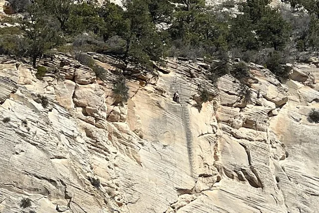 Utah Via Ferrata and Rappelling Adventure - Image 5