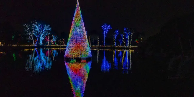 Phoenix ZooLights Entry Ticket - Image 4