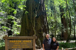 Napa Valley Food and Wine Pairing with Redwoods Exploration