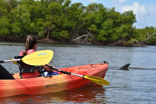 Marco Island Mangrove Kayak Tour with Photographer - Image 4