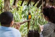 Miami Jungle Island General Admission thumbnail 1