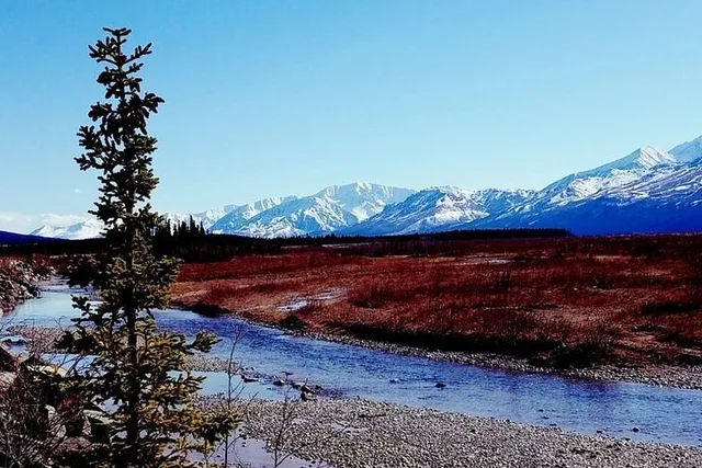 Fairbanks Chena River Rafting Tour - Image 6
