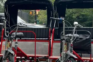 New York City Central Park Pedicab Tour thumbnail 1