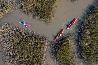 Folly Beach Dolphin Kayak Tour