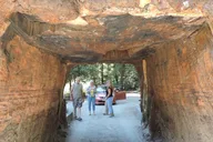 San Francisco Avenue of the Giants Redwoods Day Trip thumbnail 3