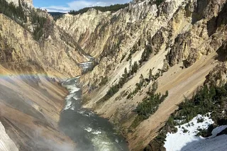 West Yellowstone Wildlife and Geyser Tour