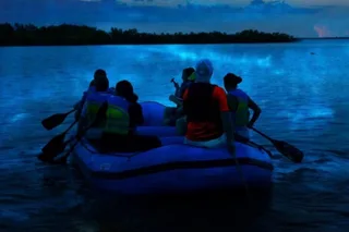 Merritt Island Bioluminescence Raft Tour