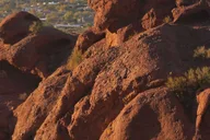 Phoenix Camelback Mountain Guided Hike thumbnail 1