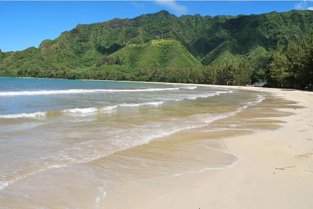 Oahu Kayaking Tour on Kahana River - Image 3