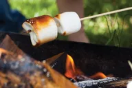 Juneau Gold Creek Salmon Bake thumbnail 6