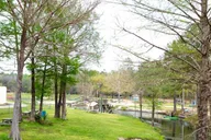 Panama City Beach Vortex Springs Trip with Lunch thumbnail 6