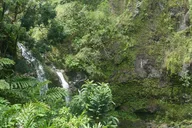 Maui Road to Hana Private Tour thumbnail 5