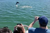 Miami Wildlife Cruise and Raccoon Island Walk thumbnail 3