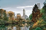 New York Central Park Guided Walking Tour thumbnail 2