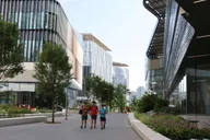 New York City Roosevelt Island Walking Tour with Tram Ride thumbnail 3
