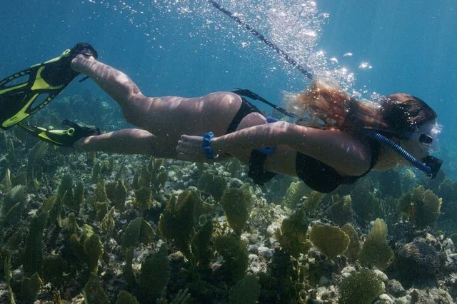 Lauderdale-By-The-Sea Snorkeling Experience with Nemo Diving System - Image 3