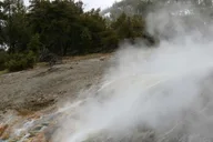 Yellowstone Wildlife Tour from West Yellowstone thumbnail 2