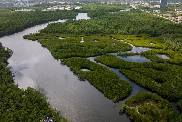 North Miami Beach Clear Kayak Tour in Mangrove Tunnels - Image 5