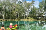 Crystal River Kayak Rental thumbnail 2