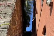 Washington D.C. Street Food Tour with Local Guide thumbnail 5