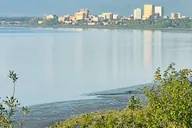 Anchorage Discovery Tour thumbnail 4