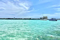 Florida Dolphin Tour 2 hr thumbnail 5