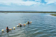 San Diego Crystal Clear Kayak Rental thumbnail 5